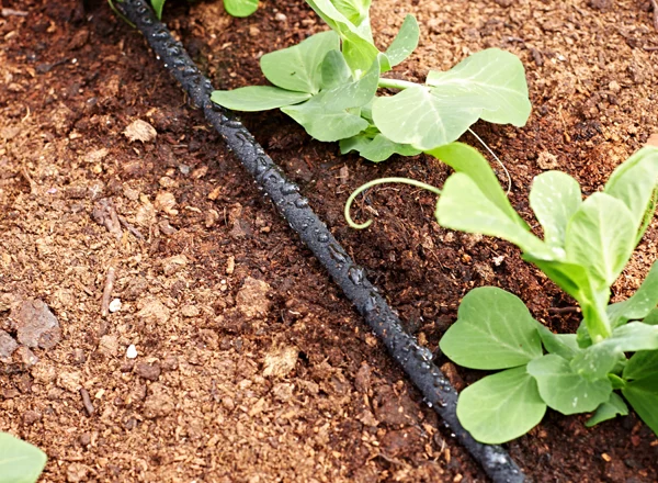 Revolutionize Garden Irrigation